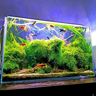 (Category: ) located in . Submitted by kvv281 (Listing ID 1305898518, Image 1). Description: .