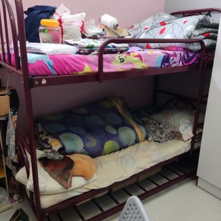 (Category: ) located in . Submitted by wildfire.ec46df (Listing ID 1305888306, Image 1). Description: .