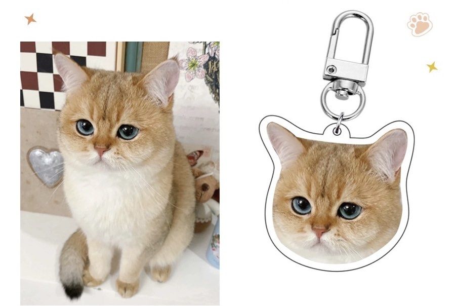 Cats protection keyring store