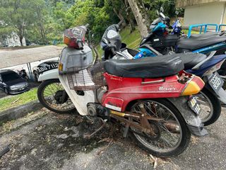 (Category: ) located in . Submitted by ainnarif (Listing ID 1305854931, Image 1). Description: .