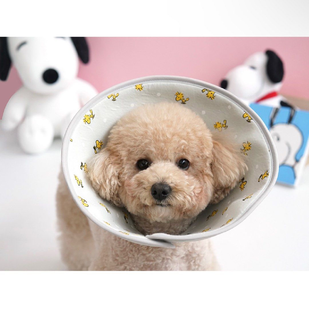 Peanuts Pet Soft Protection Collar Woodstock, Pet Supplies