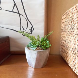 Realistic potted artificial plant faux plant succulents
