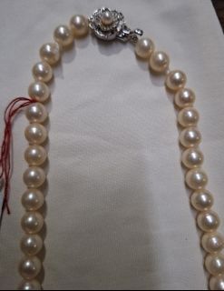 Akoya beads