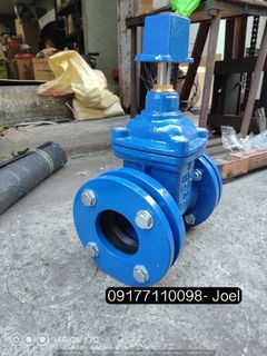 Cast iron mechanical gate valve flange type