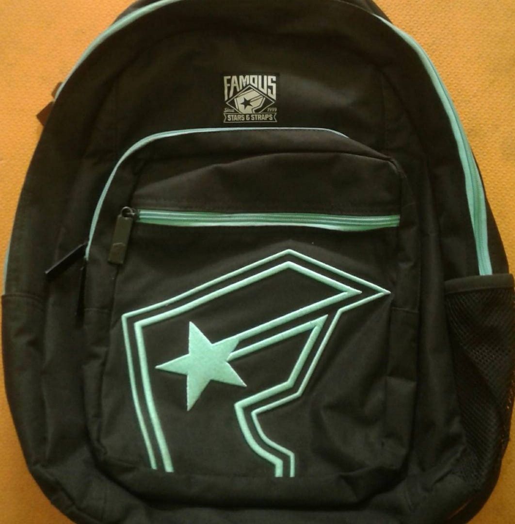 Famous stars and straps backpack 2025