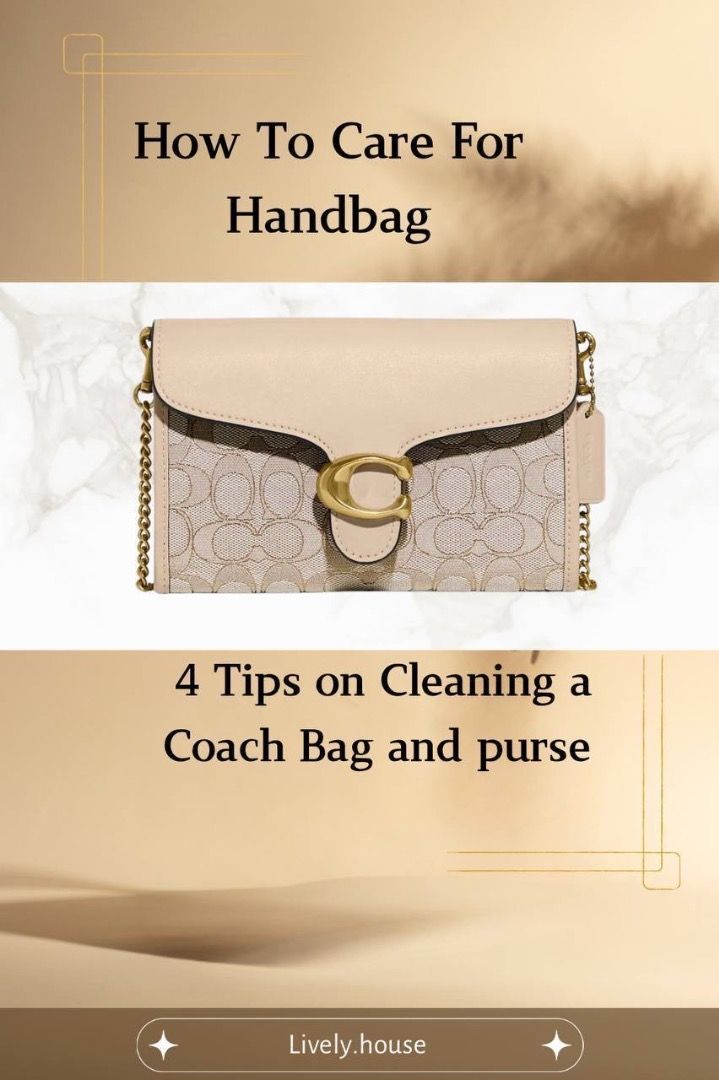 How to charher clean coach canvas purse