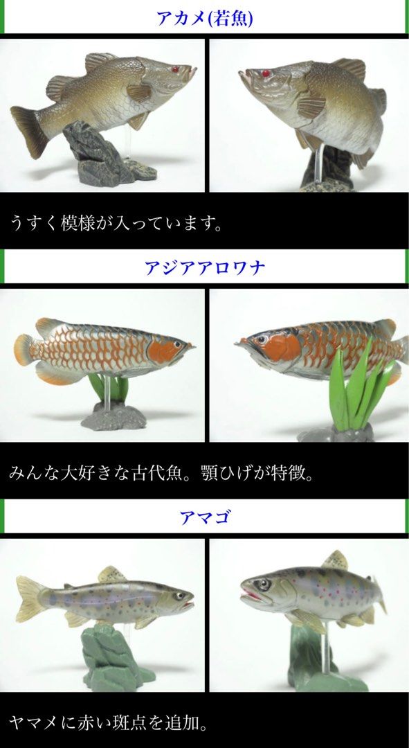 日本に 原色淡水魚図鑑I 全16種 YUJIN その他 - www.penidadivecenter.com