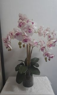 Phalaenopsis Purple Pink Orchids Luxury Flower / Floral Arrangement with Bamboo and Glass Vase Designed by SM Prestige Collection