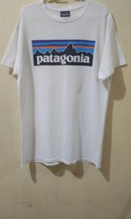 Patagonia Big Logo tshirt