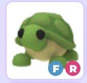 Adopt Me! Turtle [FR]