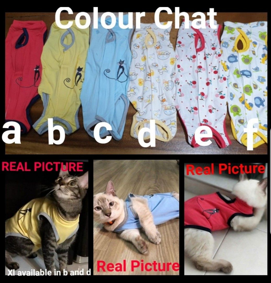 Female cat accessories cheap