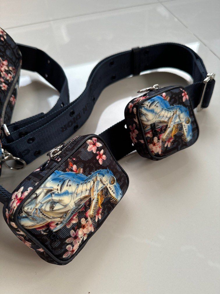 dior x sorayama card holder