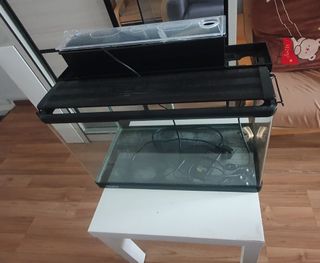 (Category: ) located in . Submitted by blazert (Listing ID 1306215184, Image 1). Description: .
