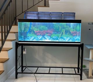(Category: ) located in . Submitted by ninam17 (Listing ID 1306218547, Image 1). Description: .