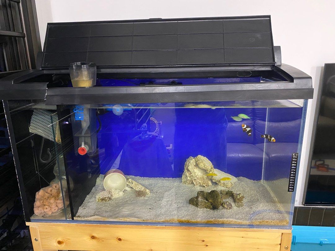 Marine tank for sale clearance