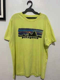 patagonia shirt