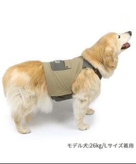 （分類：）位於 。 由 sleeping112002 提交（商品編號 1306320461，圖片 1）。簡介： 。
