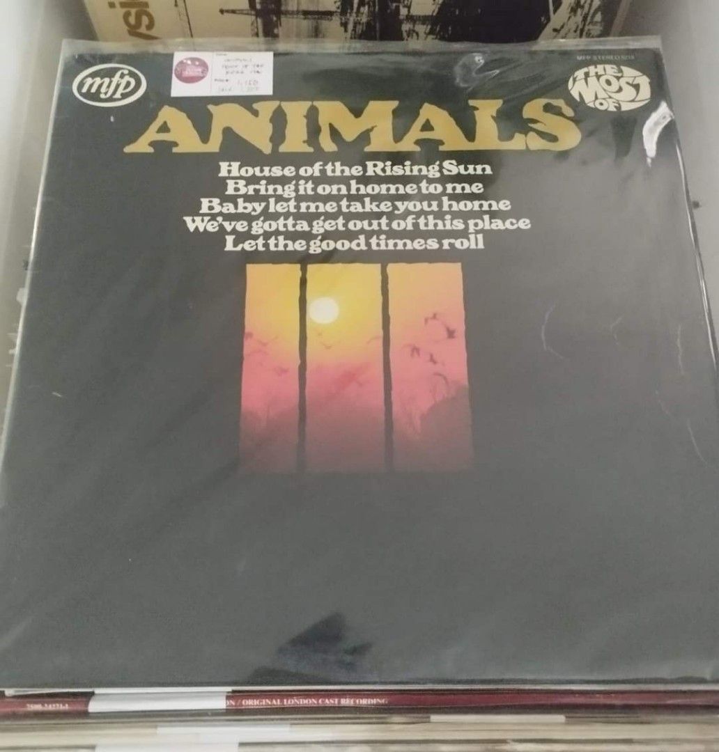 VINYL RECORD (Category: Vinyls) located in Valenzuela. Submitted by musiqueviberecords (Listing ID 1306199645, Image 1). Description: Sale!! 💁‍♀️❤️ Animals VG+/NM/UK P 1150 SALE: 1,000 Bob Dylan 2 record set VG/NM/UK P 1500 SALE: 1400 Chuck Mangione VG+/NM/UK P 1500 SALE: 1200 10CC VG+/NM/UK P 1200 Blue Oyster VG+/NM/UK P 1500 SALE: 1,250 👉 new outer sleeves included 👉 playgraded 👉 LBC (☑️) / lalamove For orders and inquiries and further deta