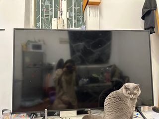 （分類：）位於 。 由 ccmsandychung 提交（商品編號 1301495376，圖片 1）。簡介： 。