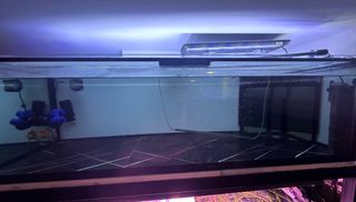 (Category: ) located in . Submitted by berria (Listing ID 1301527534, Image 1). Description: .