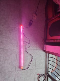 (Category: ) located in . Submitted by brighthawk_21ec43 (Listing ID 1301521254, Image 1). Description: .
