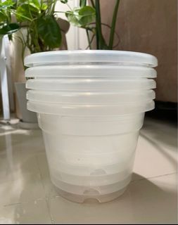 Clear plant pots