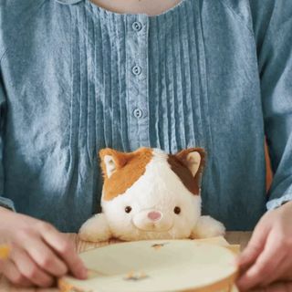 （分類：）位於 。 由 dododo.yl 提交（商品編號 1301559239，圖片 1）。簡介： 。