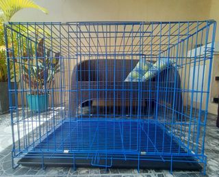 Large Collapsible Cage/Crate for Dogs or Cats (W/ FREE e-collar)
