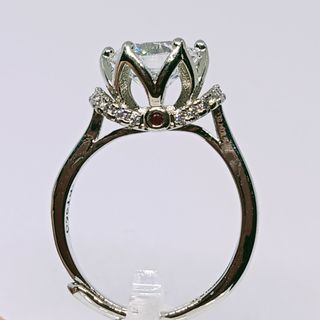 Moissanite Ring. With small ruby. PT950. 18k plated.