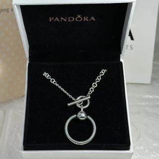 Pandora T-Necklace moments charm holding in silver