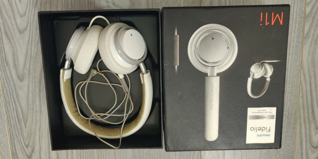 PHILIPS Fidelio M1WTi Carousell