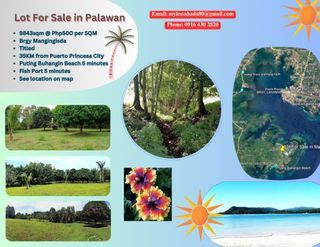 9843sqm Titled Lot For Sale By Owner in Puerto Princesa City Palawan