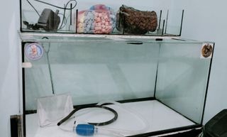 50gals Aquarium with sump filter