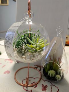 （分類：）位於 。 由 ccffrank 提交（商品編號 1301815815，圖片 1）。簡介： 。