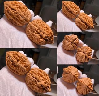 （分類：）位於 。 由 timestore_ 提交（商品編號 1301830430，圖片 1）。簡介： 。