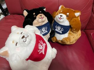 （分類：）位於 。 由 jasonchanj 提交（商品編號 1300357754，圖片 1）。簡介： 。