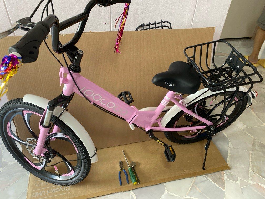 Brand new big girl BICYCLE