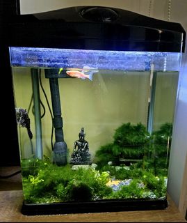 (Category: ) located in . Submitted by anu_bala (Listing ID 1301694831, Image 1). Description: .