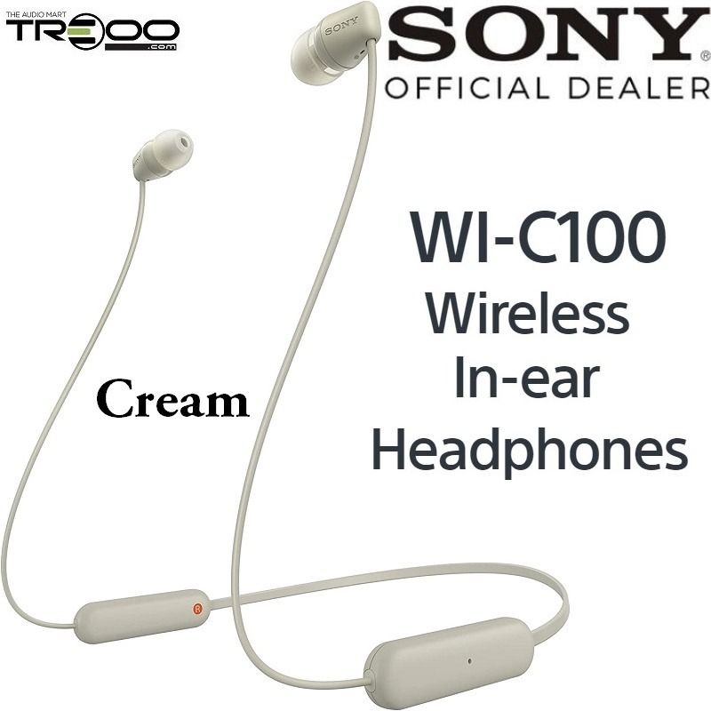 Earphones under 100 free delivery top