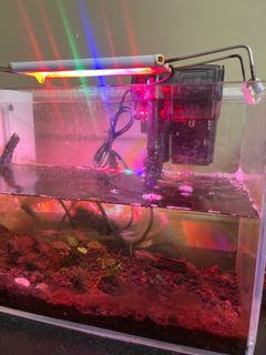 (Category: ) located in . Submitted by lubbie25 (Listing ID 1301858243, Image 1). Description: .