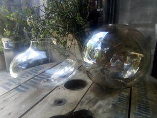 Large Glass Verina for Vintage Lamps Chandeliers (2 Pieces)