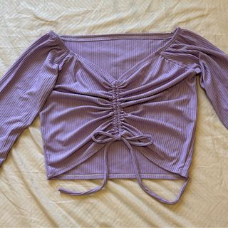 Lilac and Powder Blue Ruched Longsleeves Top