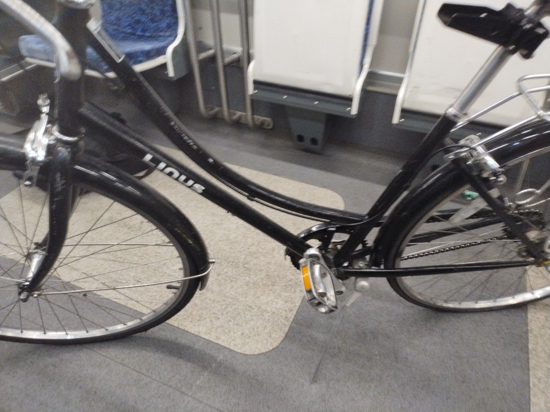 Linus 3 speed cruiser bicycle Sports Bicycles on Carousell