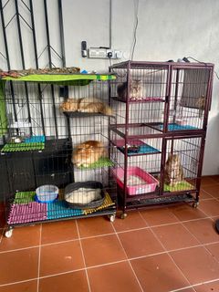 (Category: ) located in . Submitted by fadz_lyn (Listing ID 1301672431, Image 1). Description: .