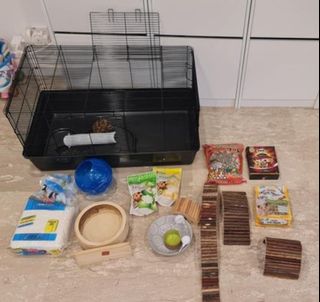 (Category: ) located in . Submitted by cartz (Listing ID 1301781445, Image 1). Description: .