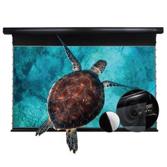 (Category: ) located in . Submitted by 123tpk (Listing ID 1301694607, Image 1). Description: .