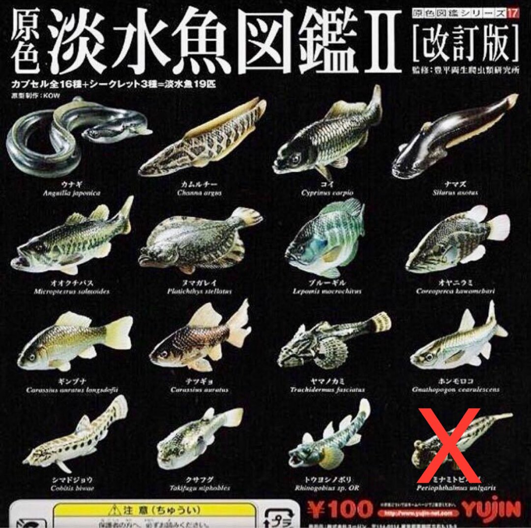 【未使用】YUJIN 原色淡水魚図鑑Ⅰ 16種 ユージン 原色図鑑シリーズ 原色淡水魚図鑑I（改訂版