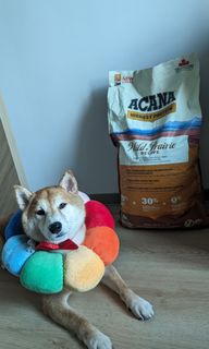 （分類：）位於 。 由 mikomiko33 提交（商品編號 1302010645，圖片 1）。簡介： 。
