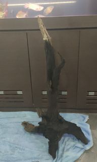 (Category: ) located in . Submitted by alias69 (Listing ID 1301967434, Image 1). Description: .