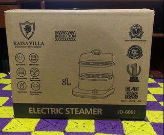 Electric steamer